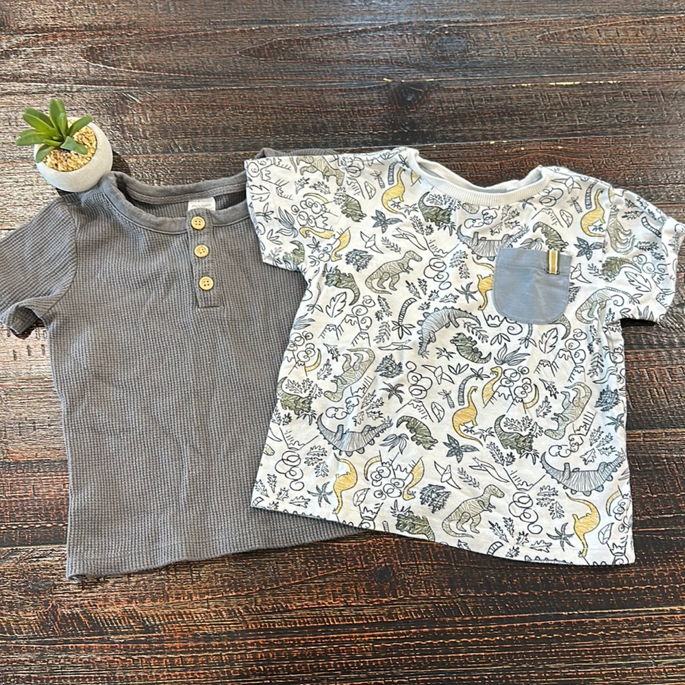 Dino and Gray Toddler Tees